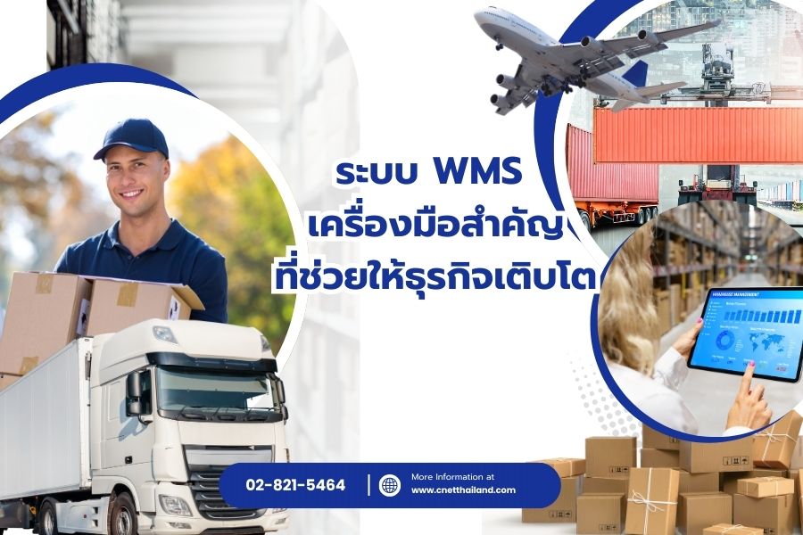 ระบบ WMS เครื่องมือสำคัญ ที่ช่วยให้ธุรกิจเติบโต